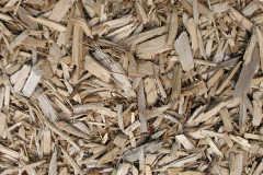 biomass boilers Llanddona
